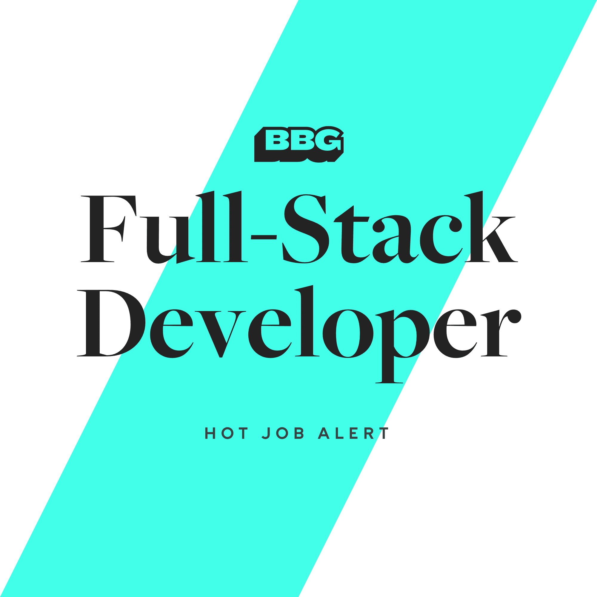 Full Stack Developer BBG